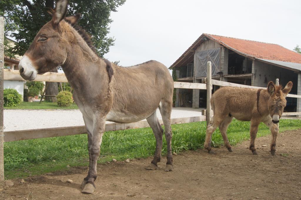 Agriturismo Richeton Villa Gaiarine Eksteriør billede